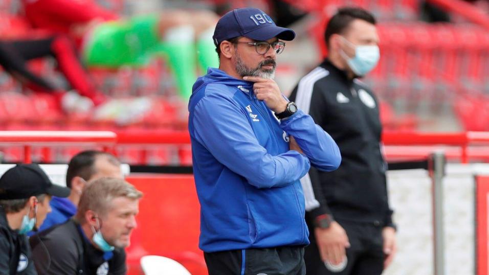 Schalke boss David Wagner
